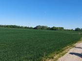 Komercinės paskirties sklypas Kauno r., Pavytės k. - nuotraukos Nr. 11