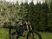 Scott gambler 710