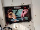 49 didelis smart TV LED - nuotraukos Nr. 2