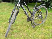 Tecnobike Urban dviratis 28" 46cm (s/m) Shiman