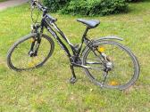 Tecnobike Urban dviratis 28" 46cm (s/m) Shiman - nuotraukos Nr. 2