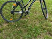 Tecnobike Urban dviratis 28" 46cm (s/m) Shiman - nuotraukos Nr. 3