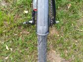 Tecnobike Urban dviratis 28" 46cm (s/m) Shiman - nuotraukos Nr. 10