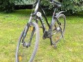 Tecnobike Urban dviratis 28" 46cm (s/m) Shiman - nuotraukos Nr. 16