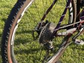 Orbea Alma M Team - nuotraukos Nr. 6