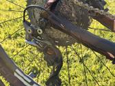 Orbea Alma M Team - nuotraukos Nr. 11