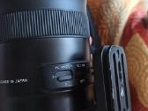 Tamron 70-200 - nuotraukos Nr. 2