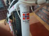 Kokybiškas norvegiškas dviratis Dbs Intruder - nuotraukos Nr. 7