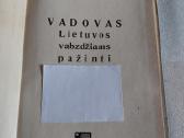 Vadovas Lietuvos vabzdžiams pažinti - nuotraukos Nr. 2