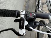 GT Transeo 28/l hibridas - nuotraukos Nr. 4