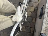 Coppi car-bike dviratis - nuotraukos Nr. 3