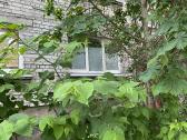 1 k. butas (visi patogumai), Algirdo g., Vilniuje - nuotraukos Nr. 11