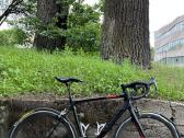 Canyon Endurance CF - nuotraukos Nr. 6