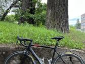Canyon Endurance CF