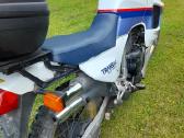 Honda Transalp - nuotraukos Nr. 7
