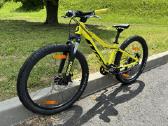 Scott scale 24 disc