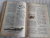 Povandeninis laikraštis - nuotraukos Nr. 6