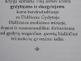 Gydymo tarnystė. Iš kur ateina sveikata - nuotraukos Nr. 3
