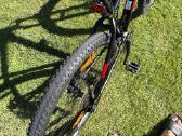 Trek kalnu dviratis MTB - nuotraukos Nr. 6