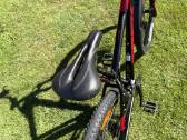 Trek kalnu dviratis MTB - nuotraukos Nr. 7