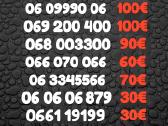 Gražus VIP numeris 060606 999 800800