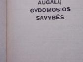Maistinių augalų gydomosios savybės - nuotraukos Nr. 2