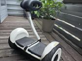 Riedis Segway Ninebot Minilite