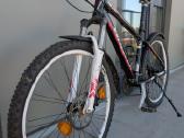 Kalnų dviratis (MTB) Wheeler Pro 10 - nuotraukos Nr. 5