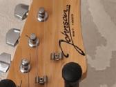 Elektrinė gitara Johnson, procesorius ir dėklas - nuotraukos Nr. 6