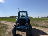 Traktorius Mtz 80 - nuotraukos Nr. 2
