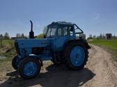 Traktorius Mtz 80 - nuotraukos Nr. 3