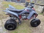 Yamaha Raptor 350 - nuotraukos Nr. 3