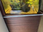 Didelis akvariumas -keturių pusių - apie 1000 l - nuotraukos Nr. 10