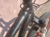 Dirt jumper - nuotraukos Nr. 4