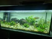 Parduodu 120 ltr akvariuma - nuotraukos Nr. 2