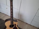El.akustinės gitaros - nuotraukos Nr. 5
