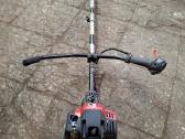 Trimeris Mtd
