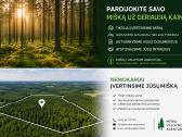 Parduokite mišką už geriausią kainą - nuotraukos Nr. 2