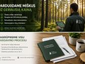 Parduokite mišką už geriausią kainą - nuotraukos Nr. 3