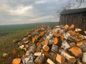 Parduodamos kokybiškos beržinės ir maišytos malkos