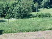 Parduodamas jaukus 2 kambarių butas Kuršėnuose - nuotraukos Nr. 3