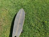 Longboard Fish riedlentė