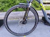 Raymon hibridinis, moteriškas, 55cm L dydis 28er. - nuotraukos Nr. 7