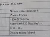 Miškų ūkio paskirties sklypas - nuotraukos Nr. 2
