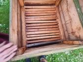 Parduodami keletas biciu aviliu po20e siauliai - nuotraukos Nr. 2
