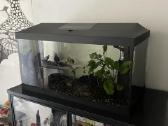 Akvariumas