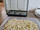 Akvariumas apie 30l