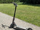 Beaster Scooter