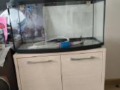 Akvariumas 105 litrai lenktu stiklu
