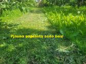 Mulčerio nuoma žoliapjovės nuoma sodo traktoriuko - nuotraukos Nr. 5